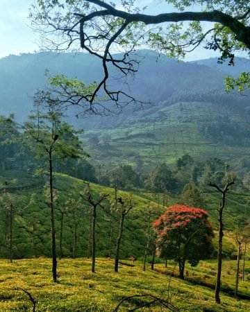Tamil Nadu Honeymoon Packages